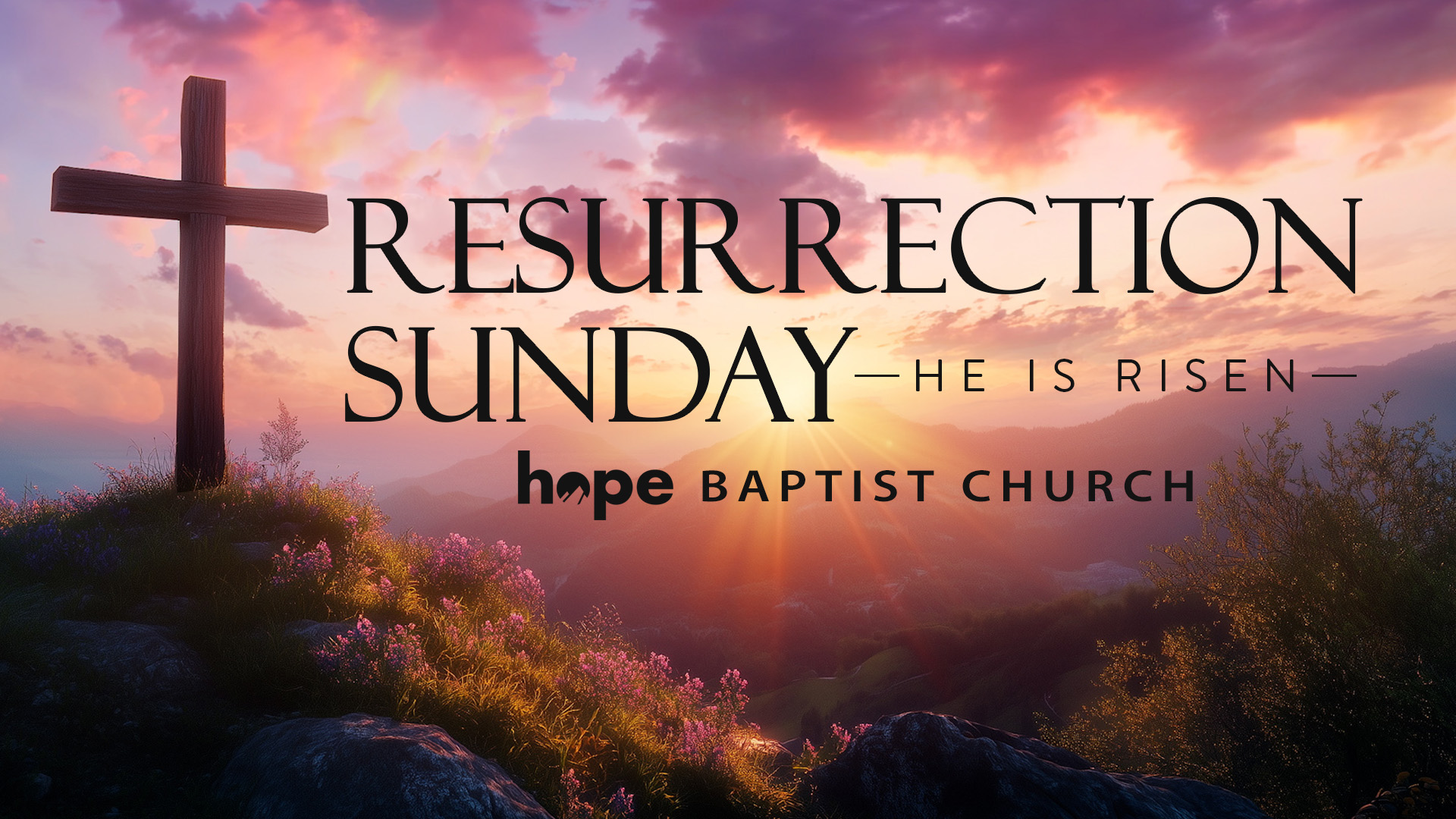 Click here to view our calendar of upcoming events.